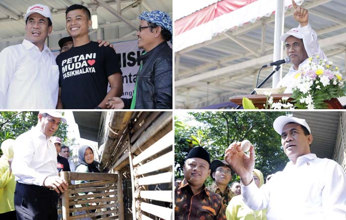 #Bekerja di Tasikmalaya, 550 Ribu Ekor Ayam jadi Modal Usaha 11 Ribu RTM